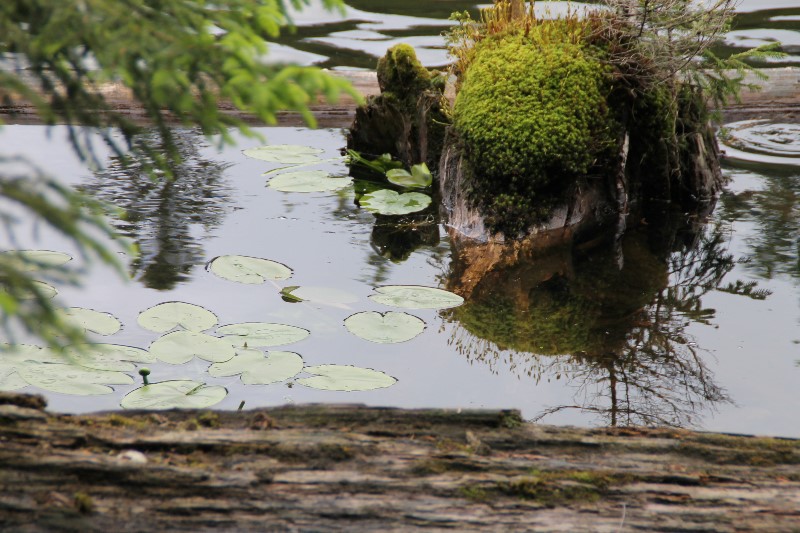 ../Images/2012.06.07-10 MSC-Ausfahrt (99).jpg